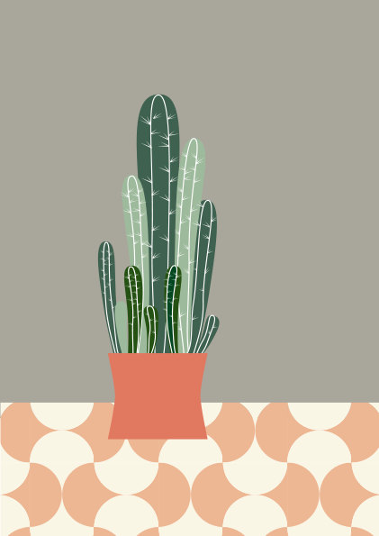 Cactus sobre baldosas.